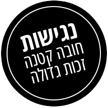 נגישות חובה קטנה זכות גדולה